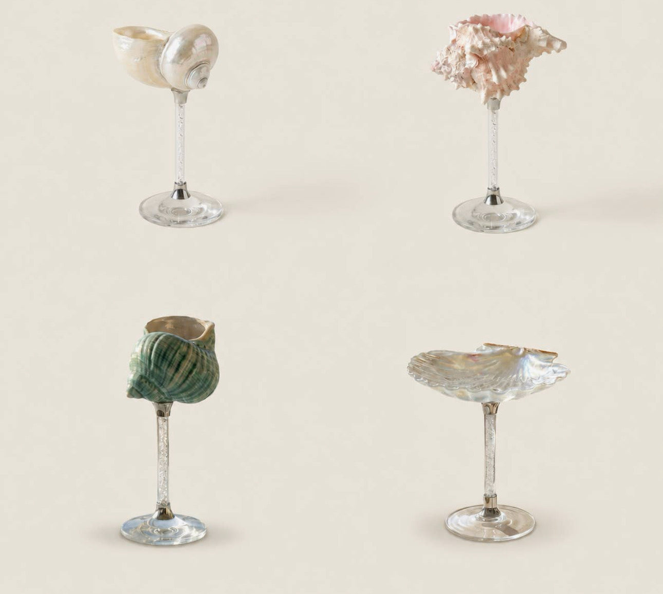 Amalfi Seashell Glasses