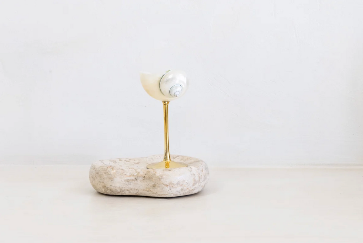 Isla Seashell Glasses