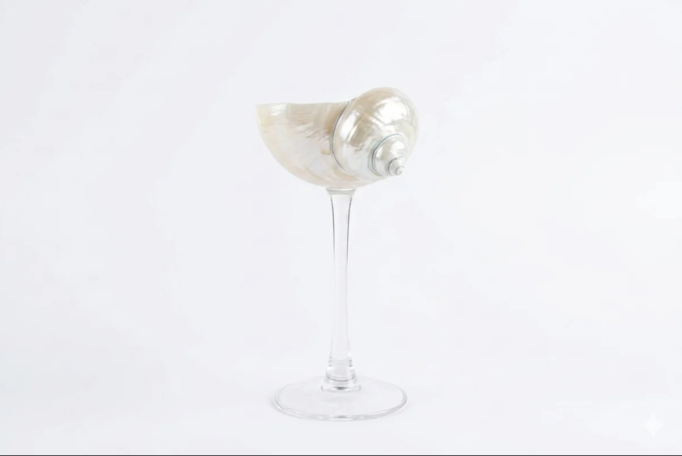 Isla Seashell Glasses