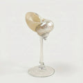 Isla Seashell Glasses