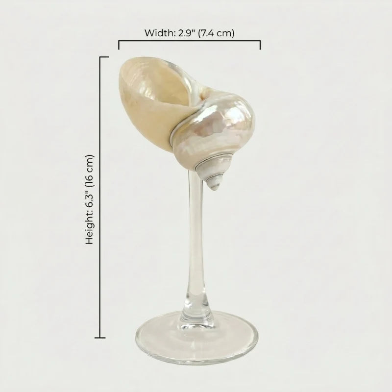 Isla Seashell Glasses