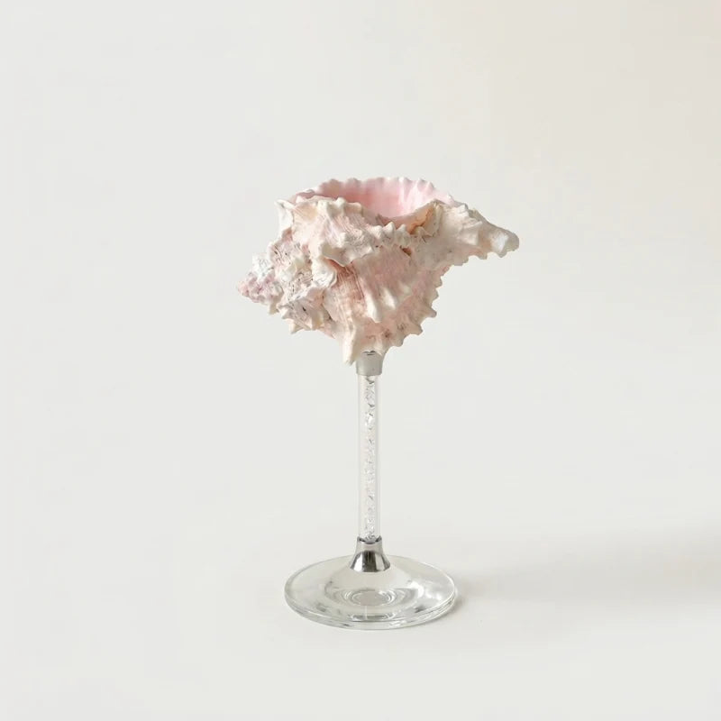 Amalfi Seashell Glasses