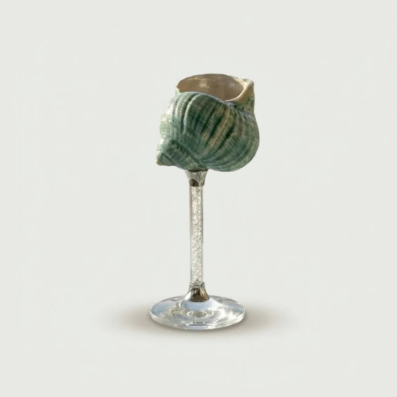Amalfi Seashell Glasses